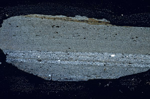 Cross Polarized, S88377