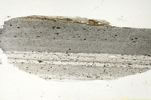 Plane Polarized, S88377