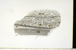 Plane Polarized, S88378