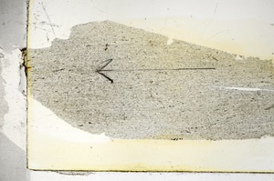 Plane Polarized, S88379