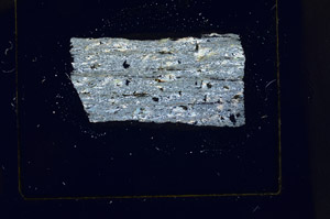 Cross Polarized, S88382