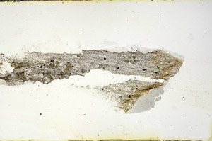 Plane Polarized, S88384/A