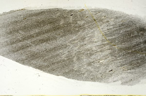 Plane Polarized, S88388