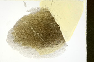 Plane Polarized, S88391