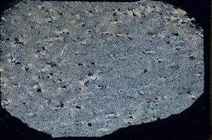 Cross Polarized, S88392