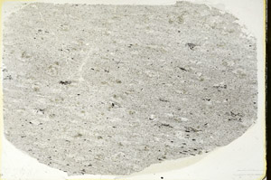 Plane Polarized, S88392