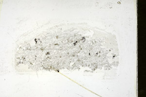 Plane Polarized, S88393