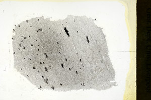 Plane Polarized, S88395