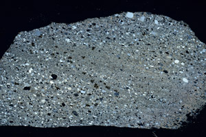 Cross Polarized, S88396