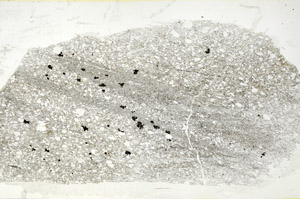 Plane Polarized, S88396