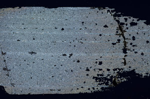 Cross Polarized, S88397
