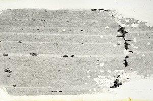 Plane Polarized, S88397