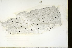 Plane Polarized, S88398