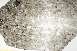 Plane Polarized, S88403