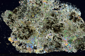 Cross Polarized, S88417