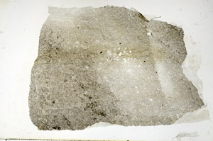 Plane Polarized, S88422