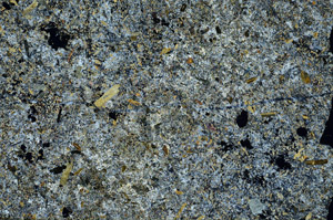 Cross Polarized, S88427