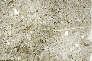 Plane Polarized, S88427
