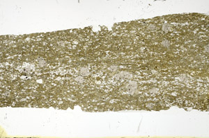 Plane Polarized, S88428