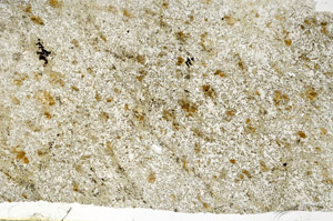 Plane Polarized, S88442