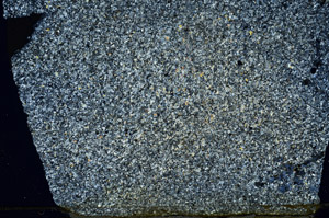 Cross Polarized, S88444