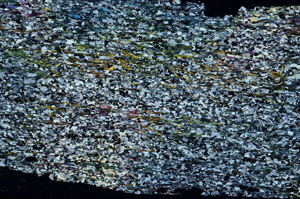 Cross Polarized, S88445