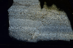 Cross Polarized, S88448
