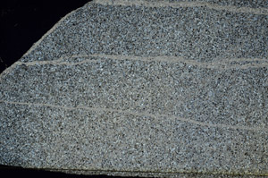Cross Polarized, S88449