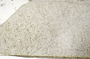 Plane Polarized, S88449