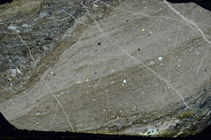 Cross Polarized, S88452