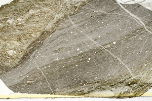 Plane Polarized, S88452
