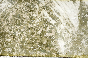 Plane Polarized, S88453