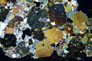 Cross Polarized, S88455