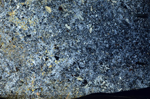 Cross Polarized, S88457