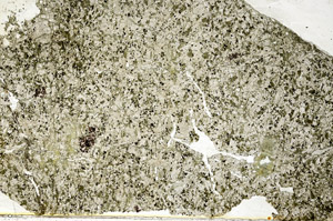 Plane Polarized, S88463