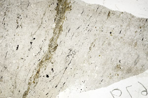 Plane Polarized, S88465