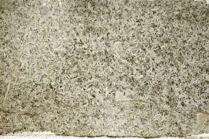 Plane Polarized, S88466