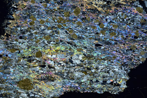 Cross Polarized, S88468