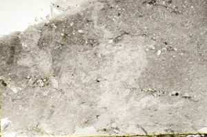 Plane Polarized, S88472