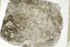 Plane Polarized, S88473