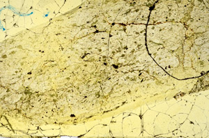 Plane Polarized, S88495