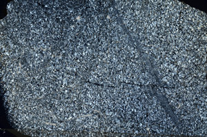 Cross Polarized, S88505