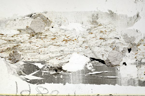 Plane Polarized, S88512