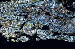 Cross Polarized, S88514