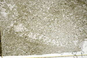 Plane Polarized, S88523