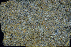 Cross Polarized, S88526