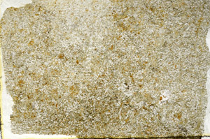 Plane Polarized, S88526