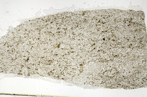 Plane Polarized, S88531