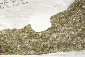 Plane Polarized, S88532