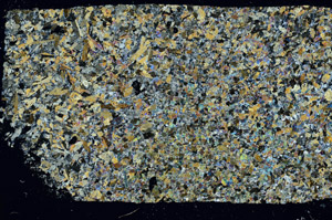 Cross Polarized, S88534